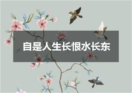 自是人生长恨水长东