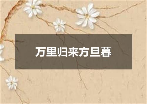 万里归来方旦暮