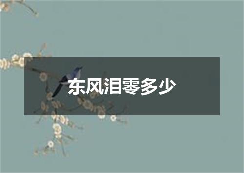 东风泪零多少