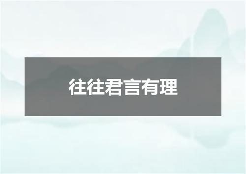 往往君言有理