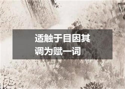 适触于目因其调为赋一词
