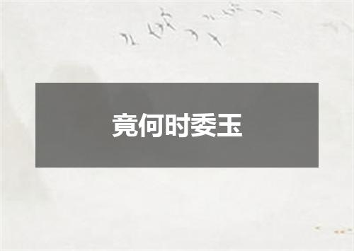 竟何时委玉