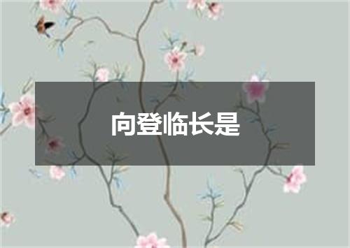 向登临长是