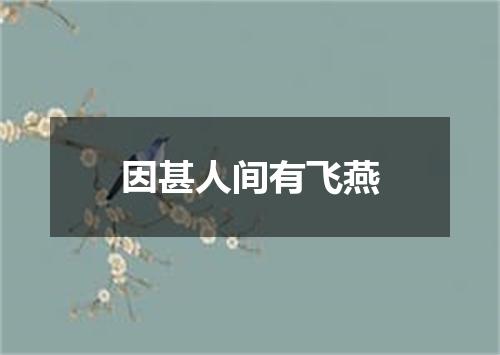 因甚人间有飞燕
