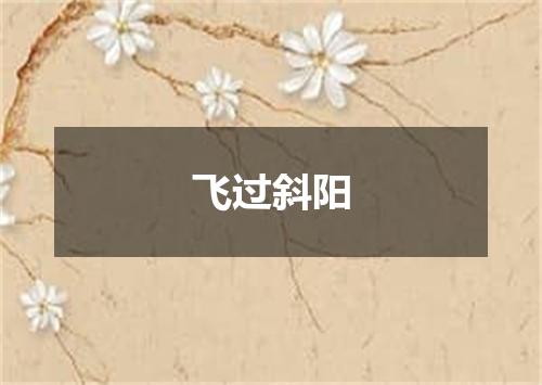 飞过斜阳