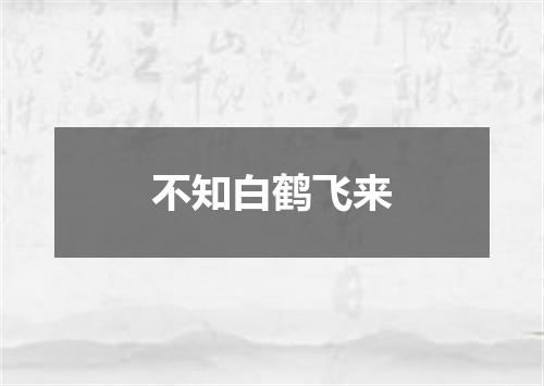 不知白鹤飞来