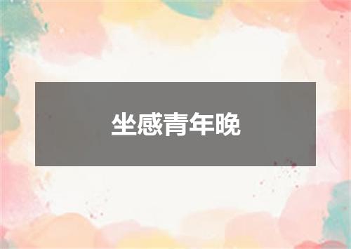 坐感青年晚