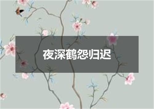 夜深鹤怨归迟