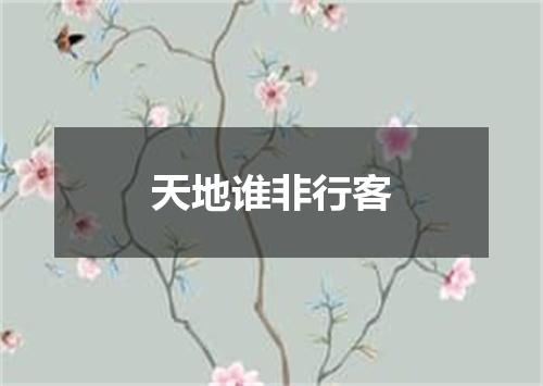 天地谁非行客