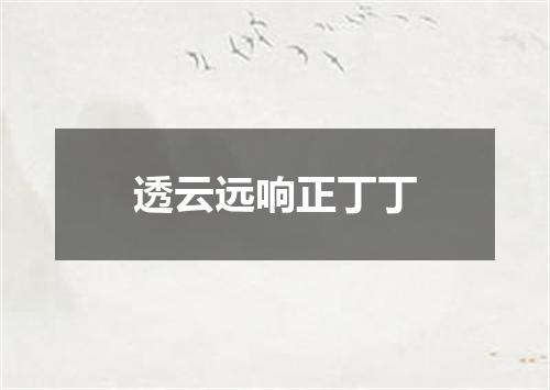 透云远响正丁丁