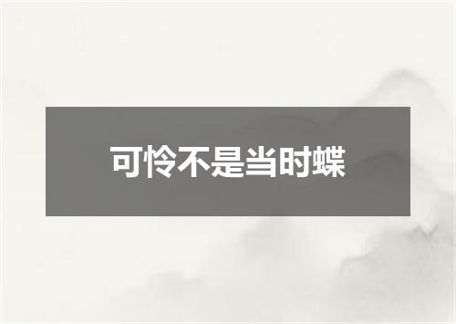 可怜不是当时蝶