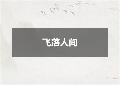 飞落人间