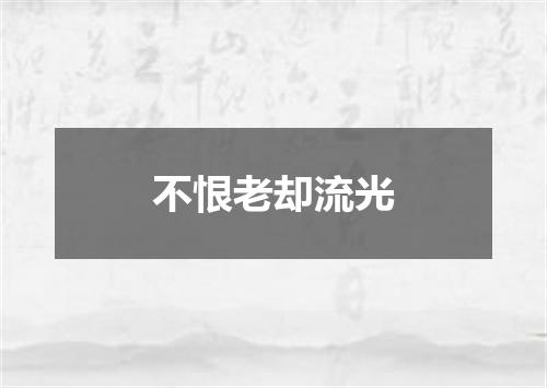 不恨老却流光