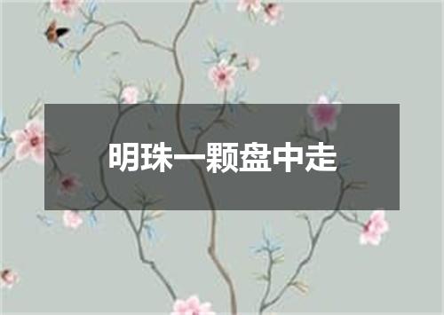明珠一颗盘中走