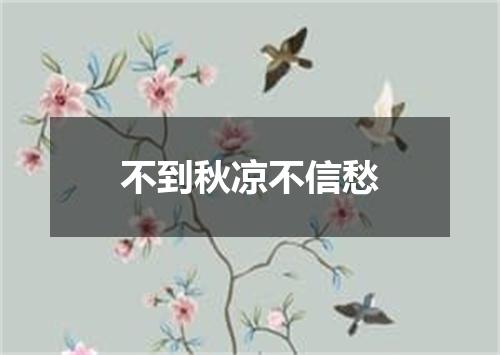 不到秋凉不信愁