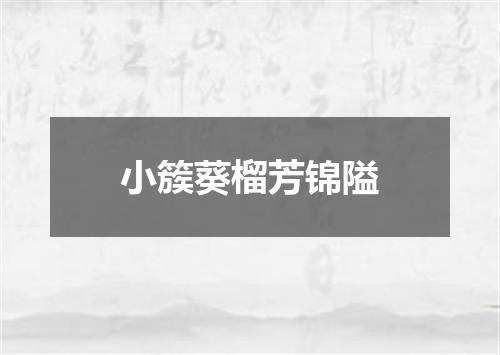 小簇葵榴芳锦隘