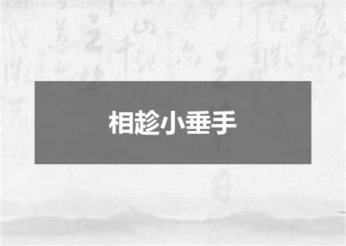 相趁小垂手