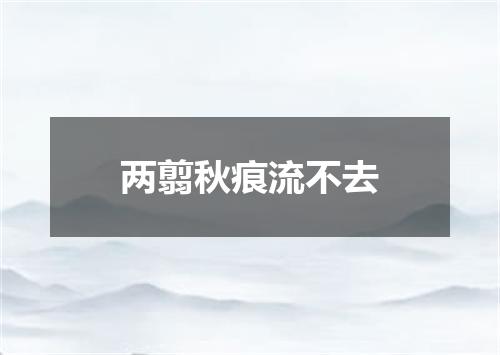 两翦秋痕流不去