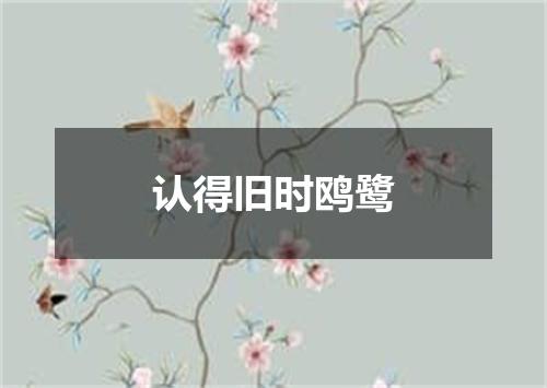 认得旧时鸥鹭