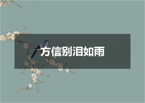 方信别泪如雨