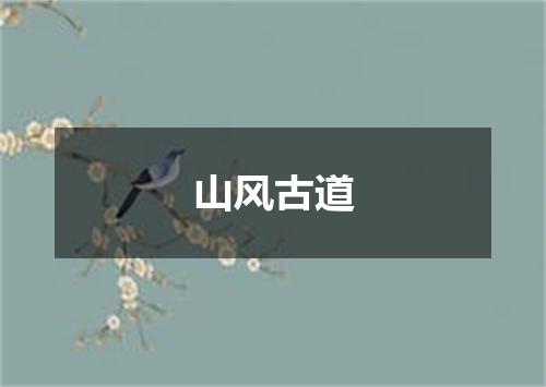 山风古道
