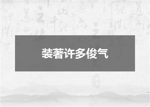 装著许多俊气