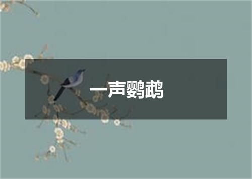 一声鹦鹉