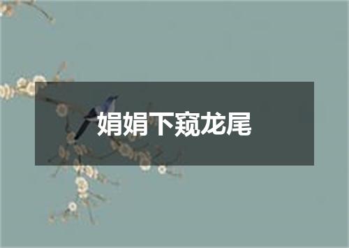 娟娟下窥龙尾
