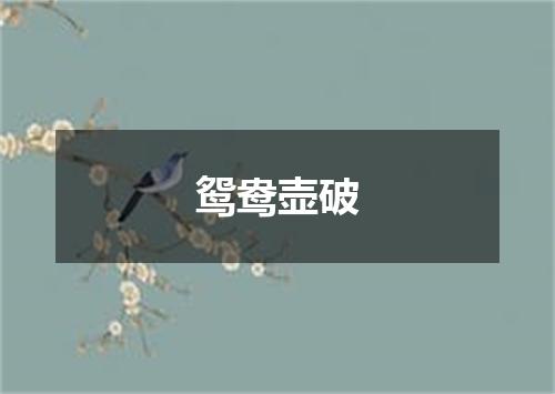鸳鸯壶破