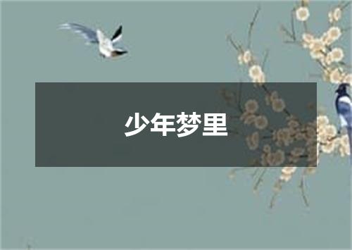 少年梦里