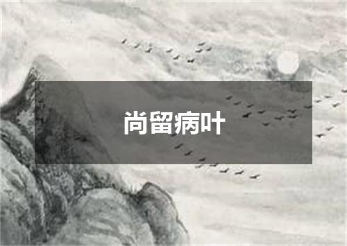 尚留病叶
