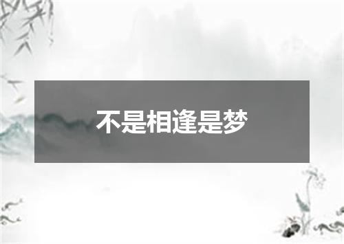 不是相逢是梦