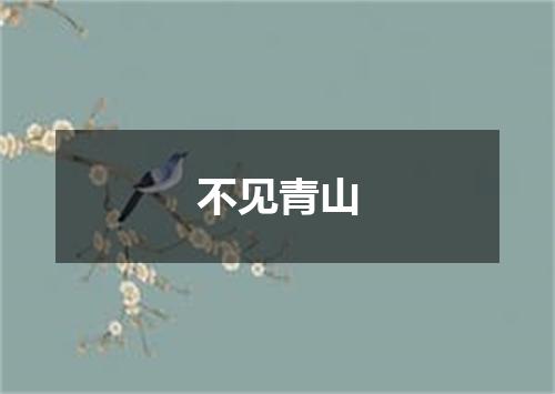 不见青山