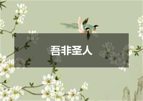 吾非圣人