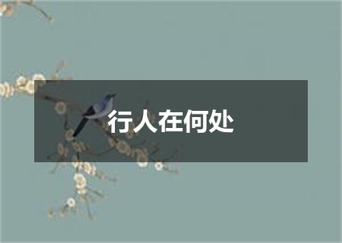 行人在何处