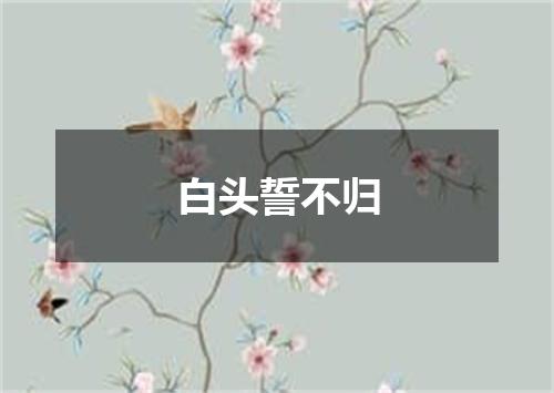 白头誓不归