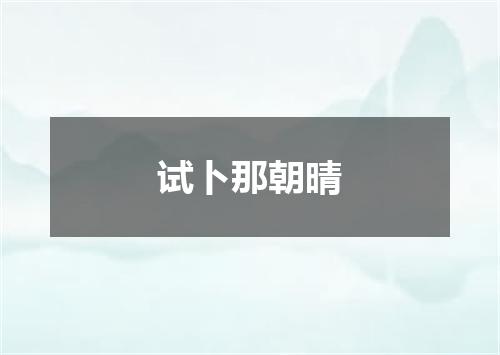 试卜那朝晴