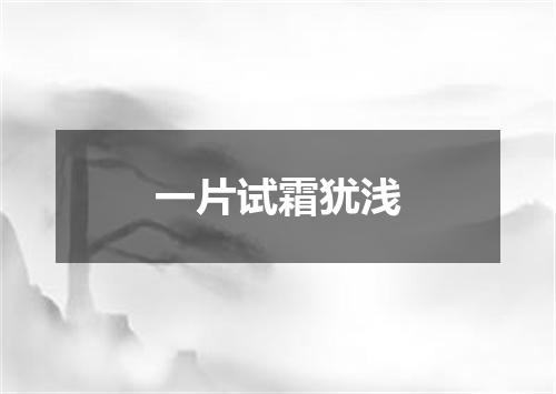 一片试霜犹浅