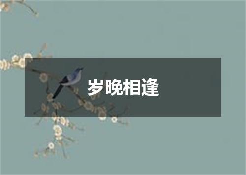 岁晚相逢