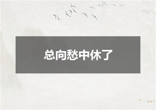总向愁中休了