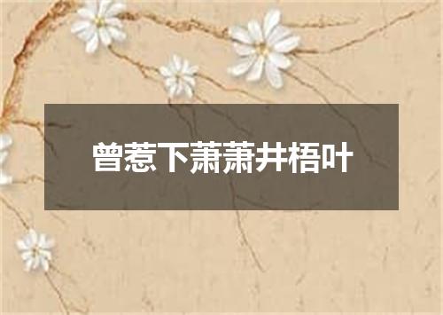 曾惹下萧萧井梧叶