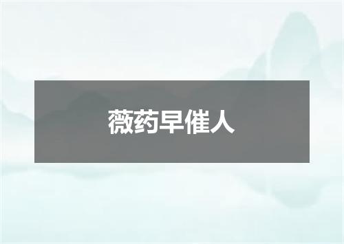 薇药早催人