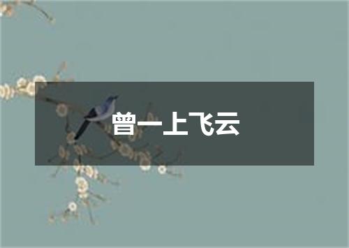 曾一上飞云
