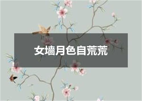 女墙月色自荒荒