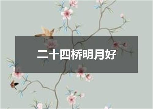 二十四桥明月好