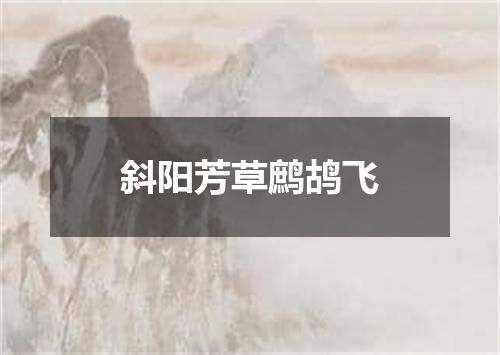 斜阳芳草鹧鸪飞