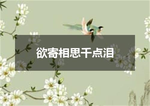 欲寄相思千点泪