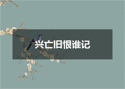 兴亡旧恨谁记