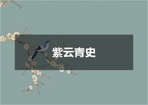 紫云青史