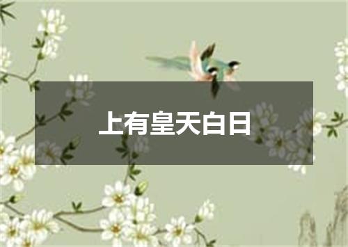 上有皇天白日